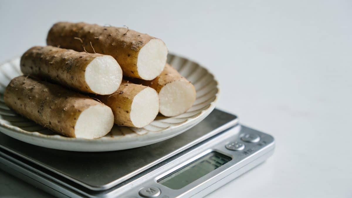 Assiette de manioc bouilli pesee sur balance de cuisine
