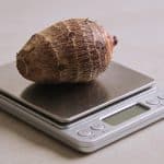 Bol de taro cuit pese sur balance