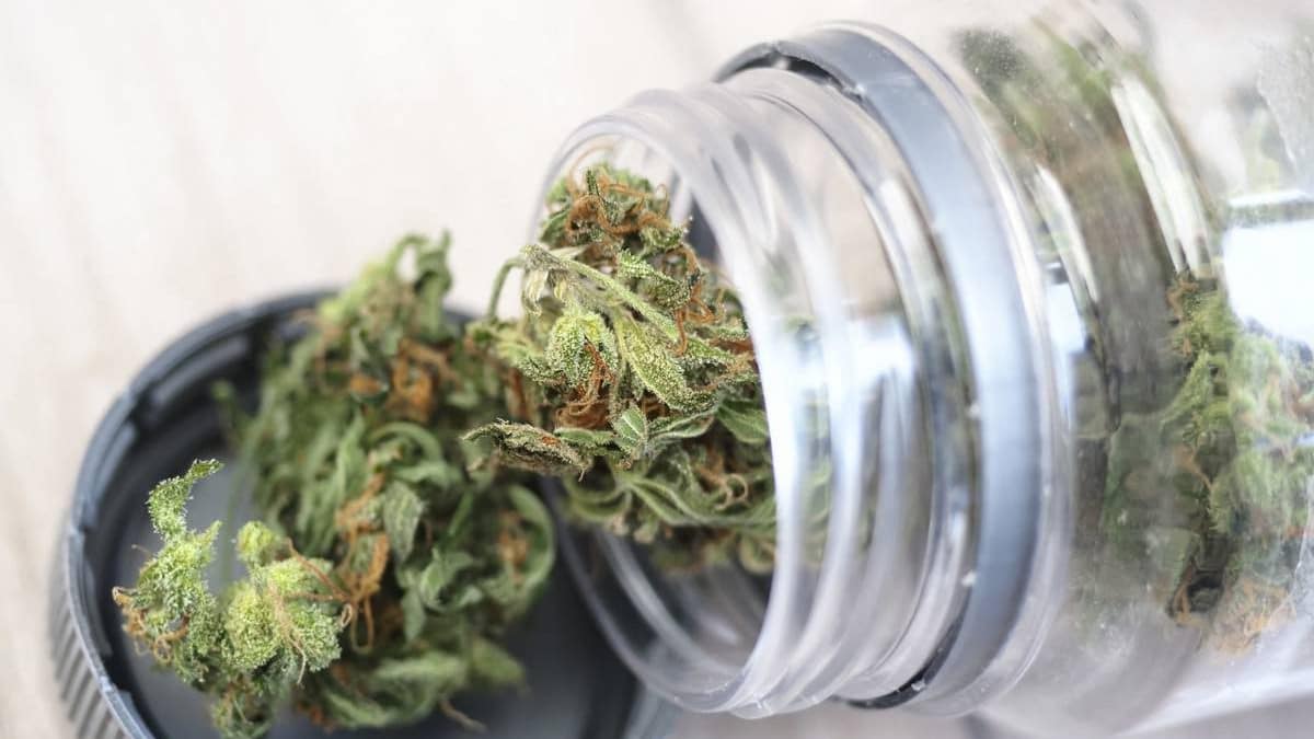 comparer CBD shop