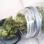 comparer CBD shop