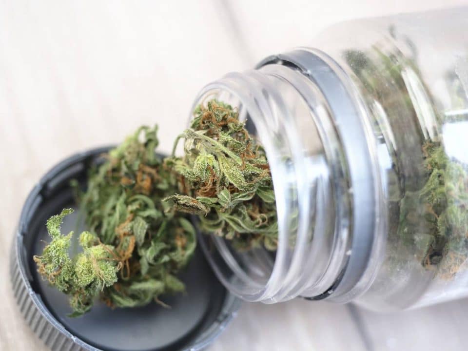 comparer CBD shop